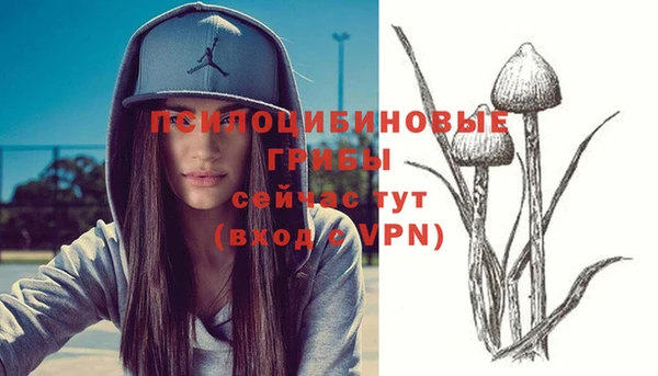 не бодяженный Белокуриха