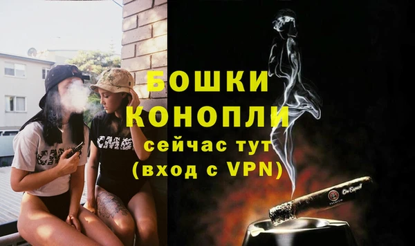 не бодяженный Белокуриха